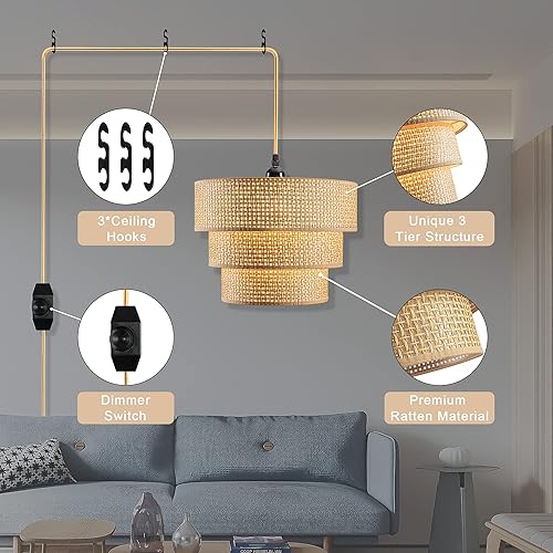 Miniatura 5 de Lámpara colgante enchufable, lámpara colgante con interruptor regulable, lámparas colgantes de ratán con cable de 15 pies, lámpara bohemia con