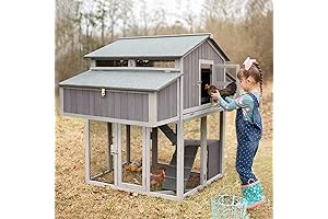 Gutinneen Chicken Coop: A Roomy and Safe Haven for Your Feathered Friends
