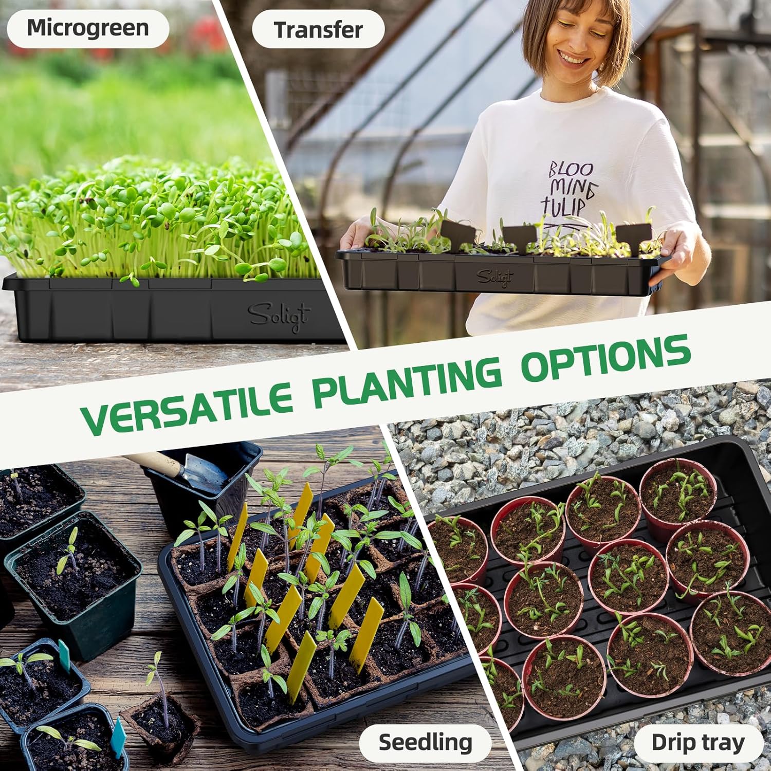 SOLIGT Extra Thick Heavy Duty 10 Pack 1020 Seed Starting Trays - Microgreens Growing Trays Seedling Plant Germination Starter Tray Transplant Fodder Flats, No Holes, No Leakage, Reusable… - Image 3