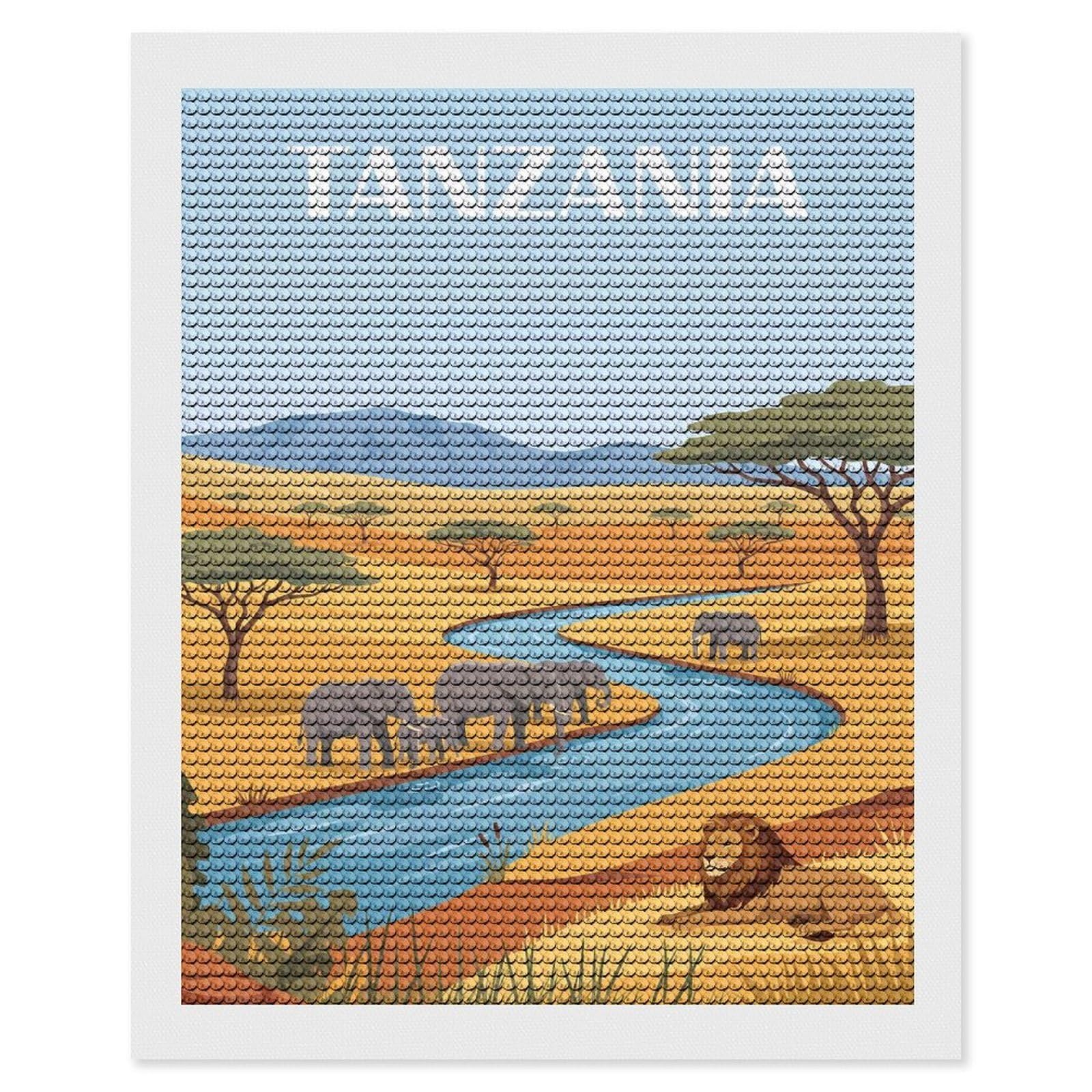 Junmoney Tanzania Diamond Painting Canvas Kit 16"x20", Adhesive Canvas, Christmas Gift, Full Kit Included, Thoughtful Present