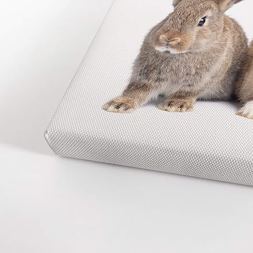 Vista 125 de Smile Art Design Border Collie Bulldog Rottweiler Cachorro Persa Gatito Animal Lienzo Impresión Arte de Pared Pet Cat Dog Lover Sala Dormitorio