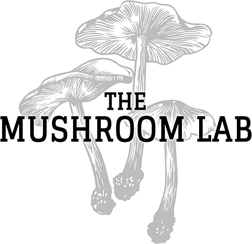 Miniatura 2 de Cultivo Líquido de Setas - Cordyceps (Cordyceps militaris)