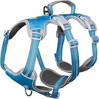 Huntboo Sicherheitsgeschirr Hund Ausbruchsicher, hundegeschirr kleine Hunde, Reflektierendes Geschirr mit Gepolstertem Griff, Verstellbare Weste für Kleine Hunde,die Spazieren Gehen (Blau,S) product image
