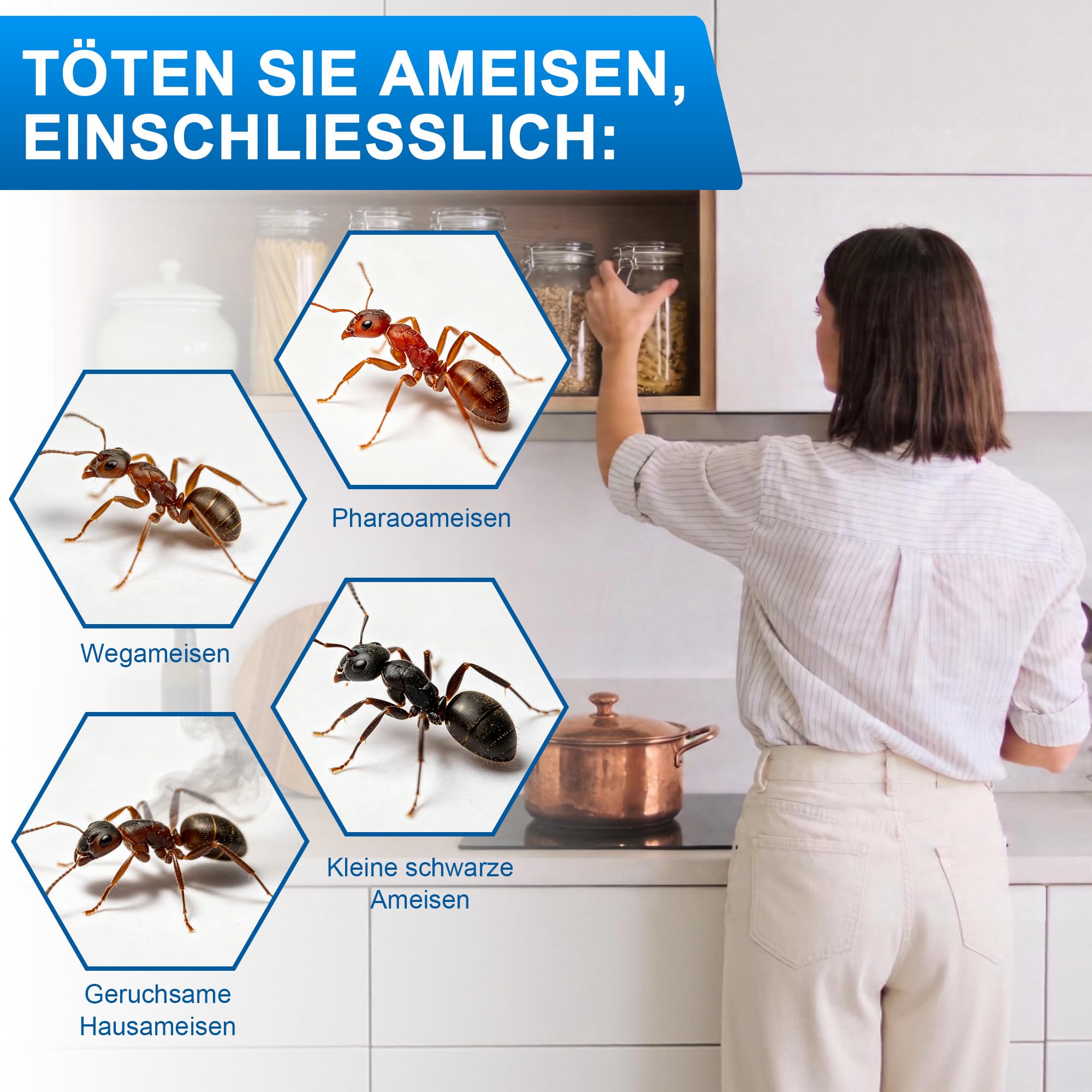 12 Stück x 15 Gramm Ameisenköder, geeignet für den Innen- und Außenbereich in der Küche, langanhaltend und wirksam, sicher für Kinder und Haustiere