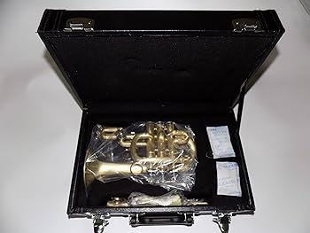 ピッコロトロンボーン　JINBAO JBSL-760 美品　箱無し コントラバス・トロンボーン【JBSL-850L】 – ロケットミュージック