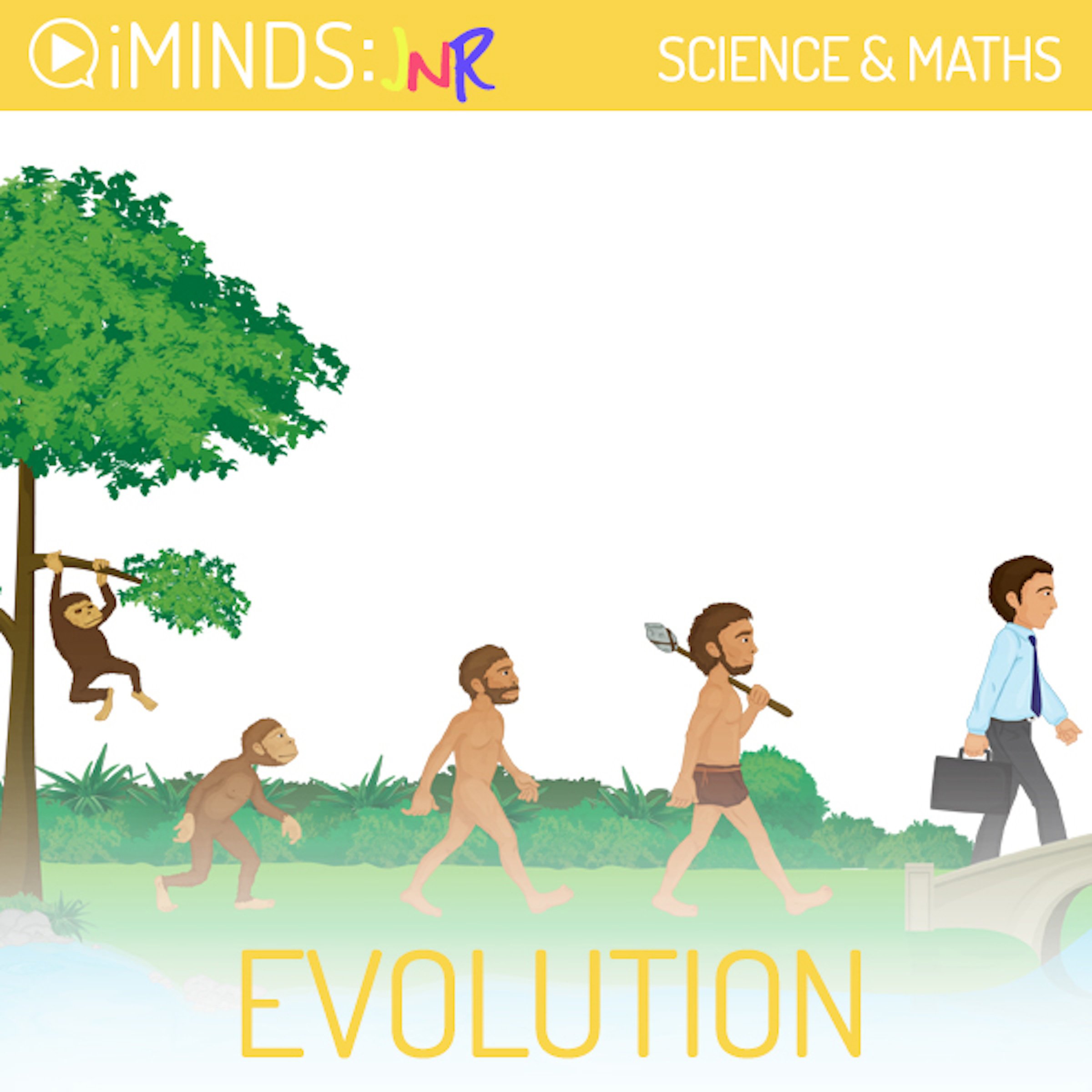 Cover art for Evolution