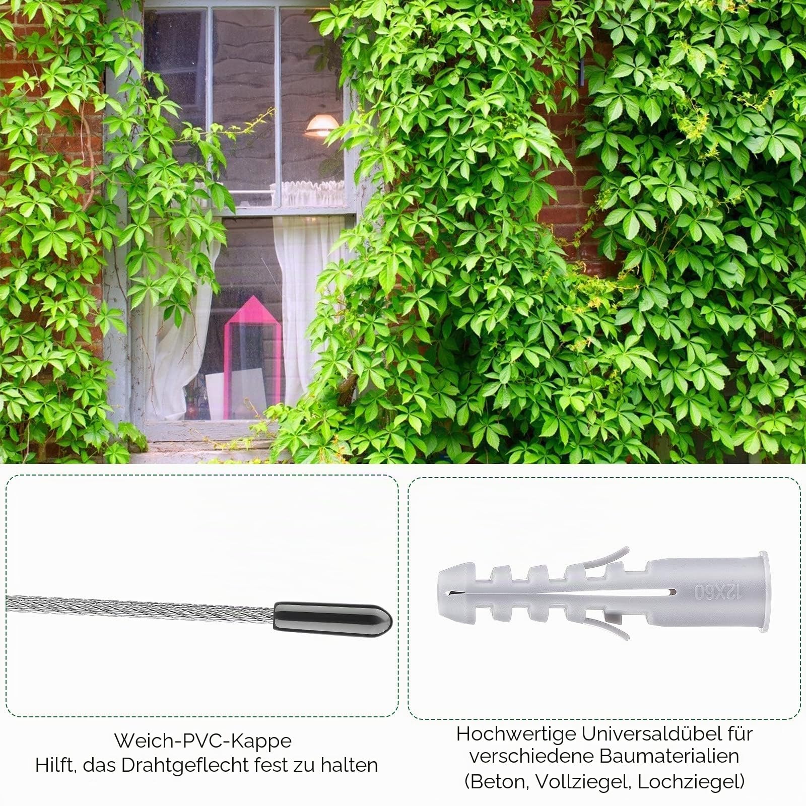 Rankhilfe aus Edelstahl für Kletterpflanzen 12m, 8 Halter,Kletterrose,Pflanze Die Rankhilfe Edelstahl mit 3 mm Durchmesser