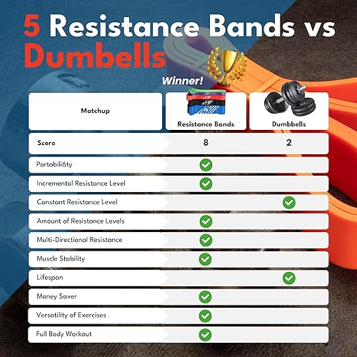 Miniatura 6 de FX FFEXS Juego de bandas de asistencia para dominadas, bandas de resistencia para dominadas para hombres y mujeres, bandas elásticas para