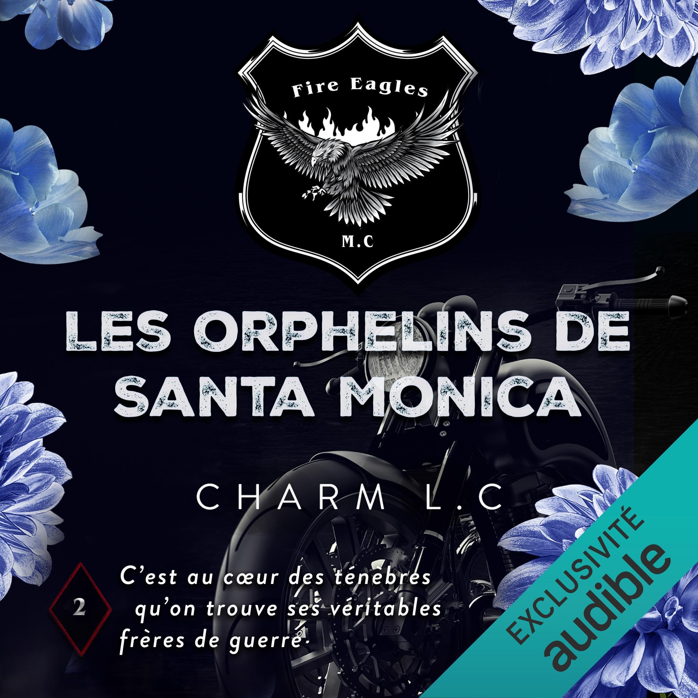 Cover art for Les orphelins de Santa Monica