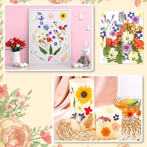Miniatura 6 de Funtery Flores secas prensadas para manualidades de moldes de resina, hojas de flores prensadas secas reales a granel con pinzas, kit floral natural