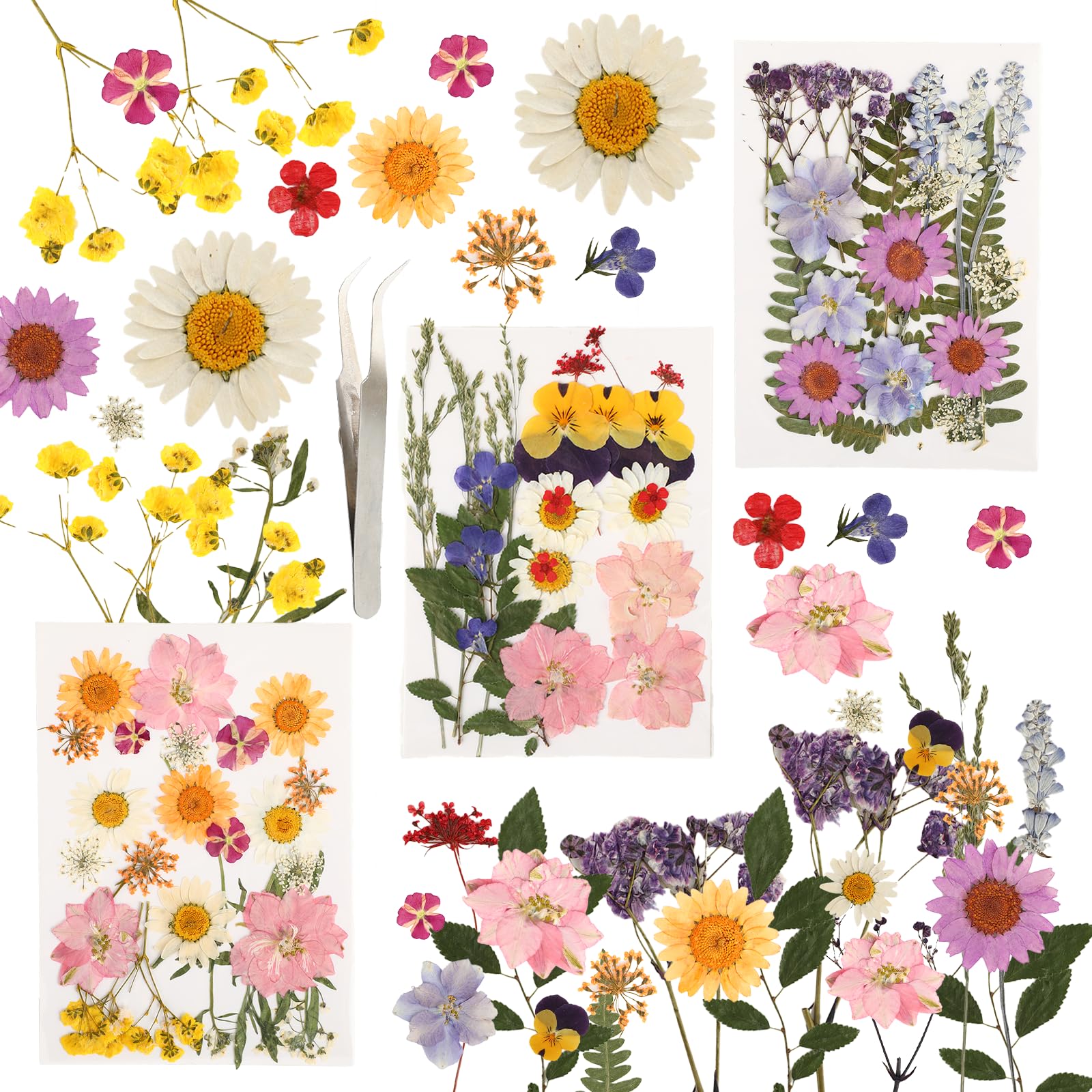Suszone kwiaty zestaw, 66 sztuk prasowanych kwiatów i suszonych kwiatów, suszone kwiaty do robótek na świece DIY, żywica, biżuteria, małe suszone kwiaty do scrapbookingu i dekoracji.
