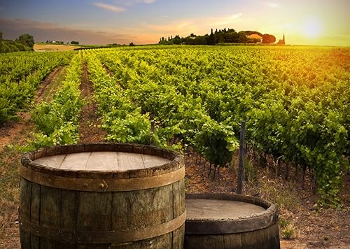 Miniatura 1 de Telón de fondo de tela de viñedo de 5 x 3 pies, barril de madera de vino tinto, fondo de fotografía de toscana verde, fondo de fotografía,