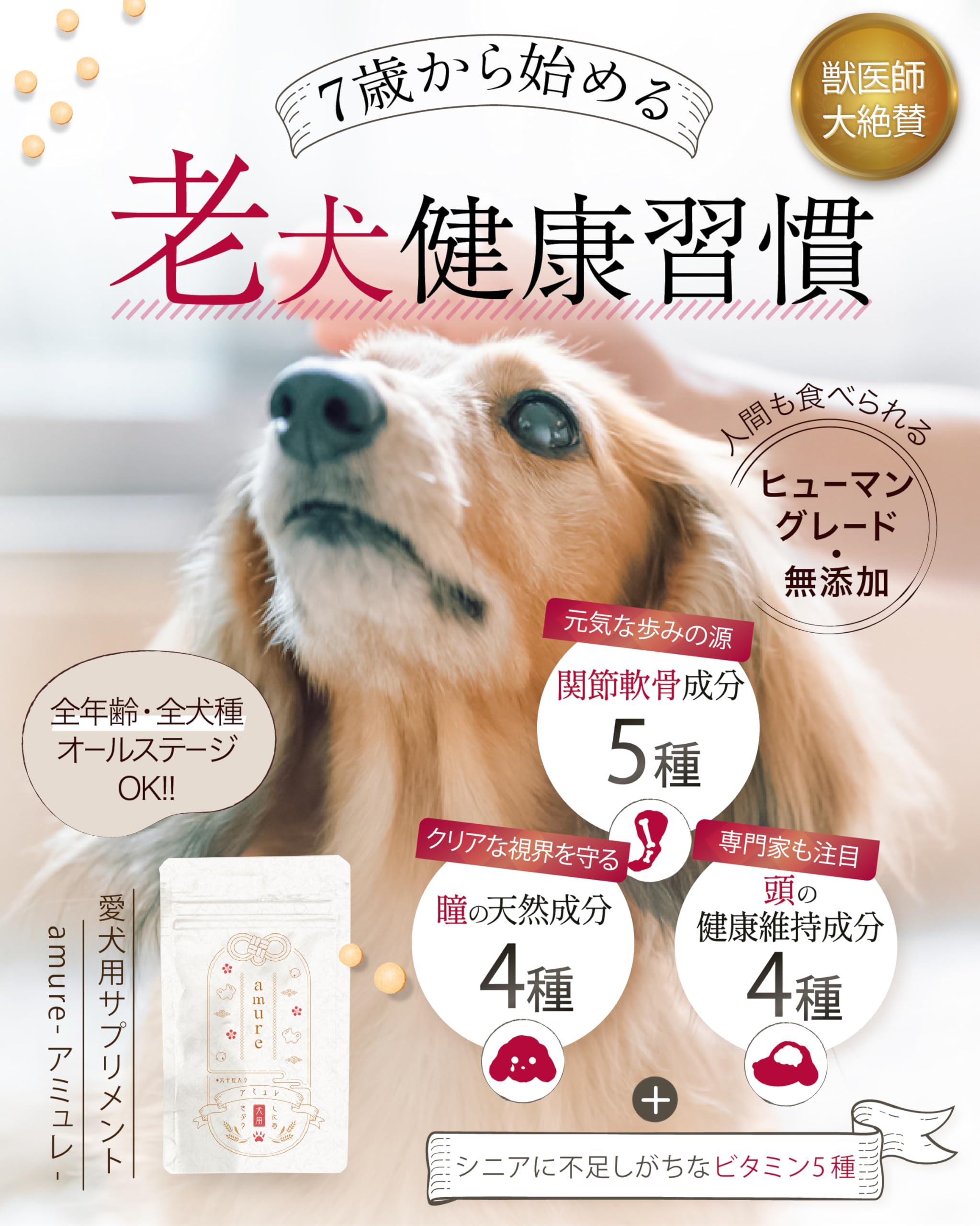 amure 300mg×60粒 【4袋】サプリメント犬用 楽天市場】【エントリーでポイント10倍】 amure-アミュレ- 犬用