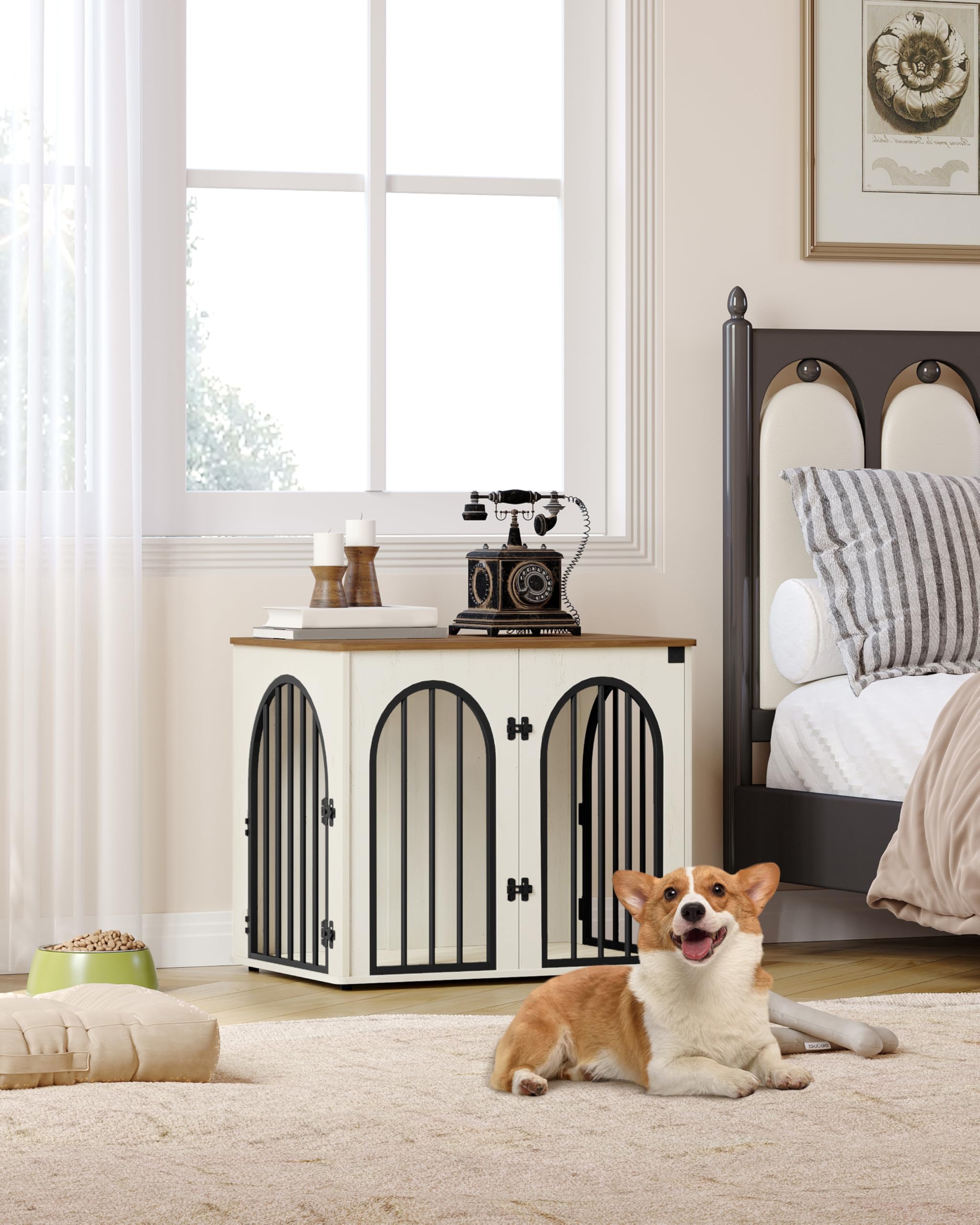 Hzuaneri 100 cm Hondenbench, meubel, hondenbox, 3 deuren, gebogen deur, moderne hondenboxs binnen voor honden, bijzettafel, hondenkooi voor thuis, robuuste hondenbox, 60 x 100 x 63 cm, Lichtivoor