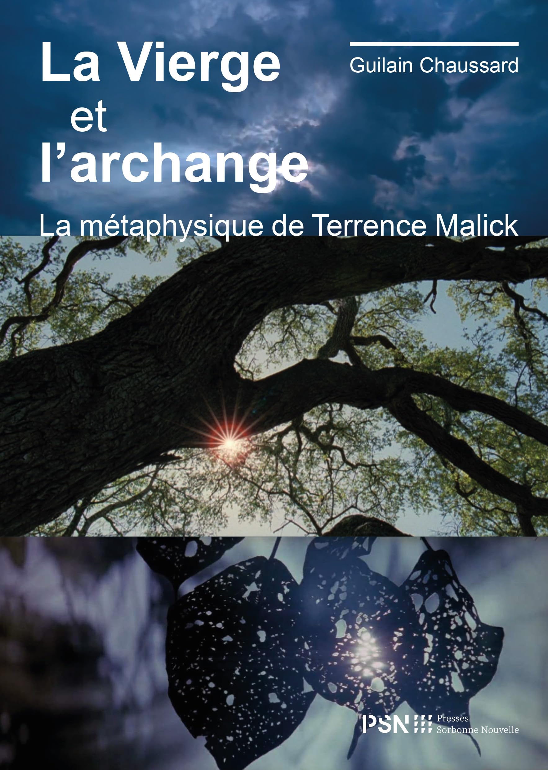 La Vierge et l'archange Terrence Malick métaphysique lecture pour passionnés de cinéma