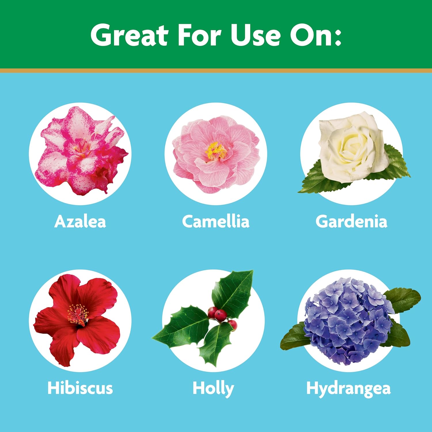 Miracle-Gro Water Soluble Azalea, Camellia, Rhododendron Plant Food - Fertilizer for Acid-Loving Plants & Flowers, 5 lb.