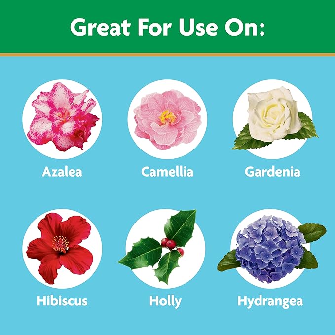 Fertilizante Miracle-Gro para Plantas Ácidas Azalea, Camelia, Rododendro 5 lb miniatura 4
