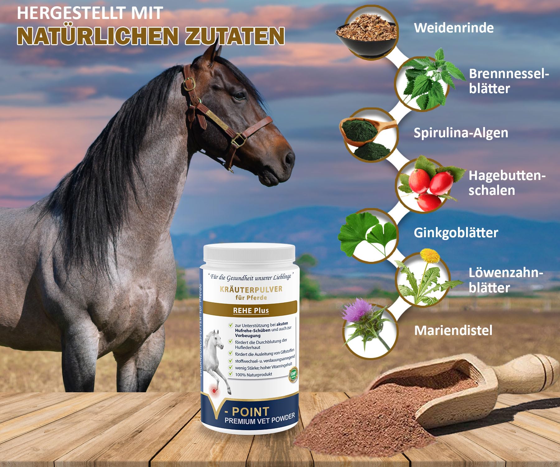 V-POINT REHE Plus en Cas de Crises de fourbure aiguës pour la prévention favorise l'irrigation Sanguine de la Peau du Sabot - avec Poudre de cynorrhodon Chardon-Marie spiruline (450 g)