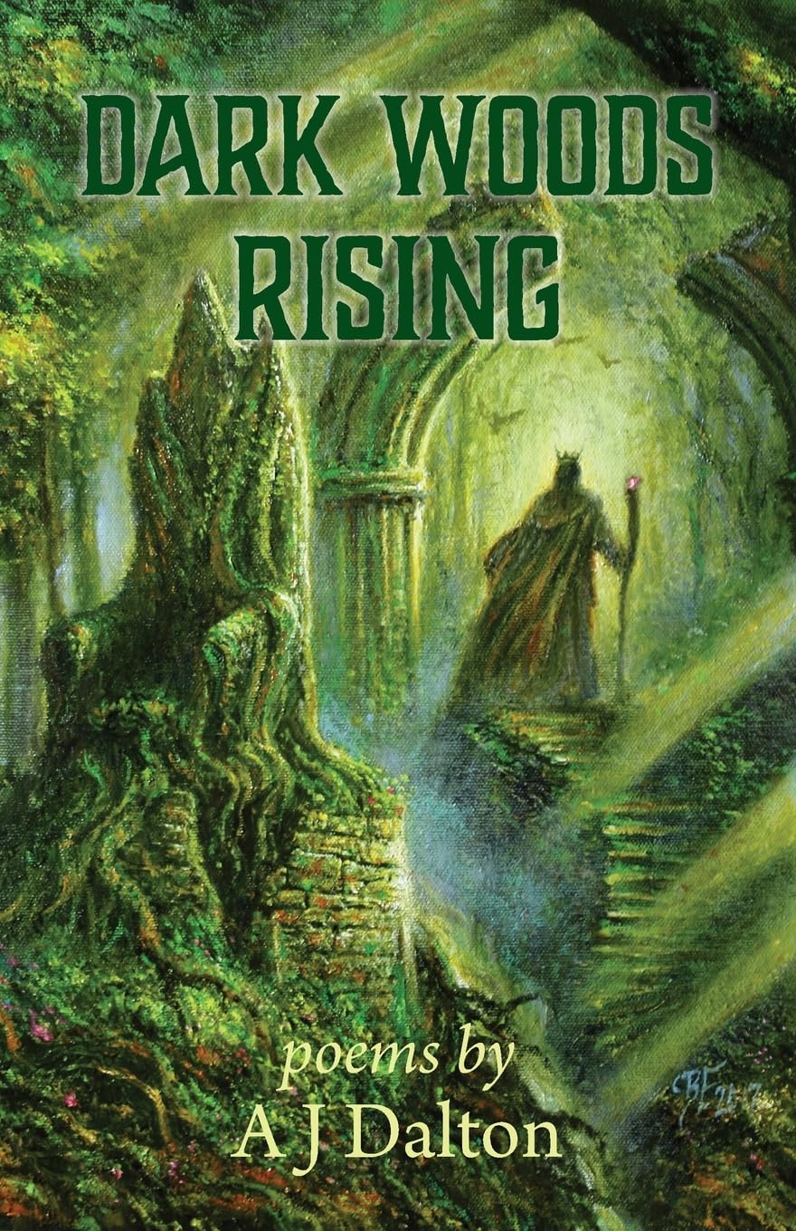 Cover of Dark Woods Rising