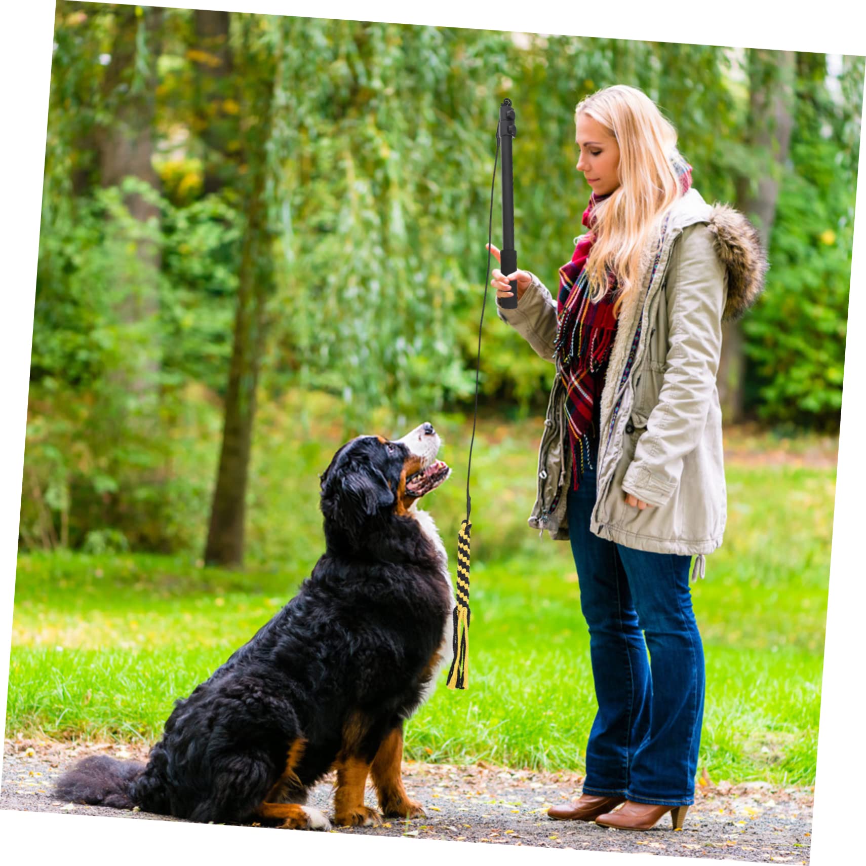 ERINGOGO 1set Telescopico Per Giochi Con Cani Per Addestramento e Divertimento Giocattolo Interattivo Per Cani e Cuccioli Design Leggero e Resistente Mantiene Tuo Animale e Felice