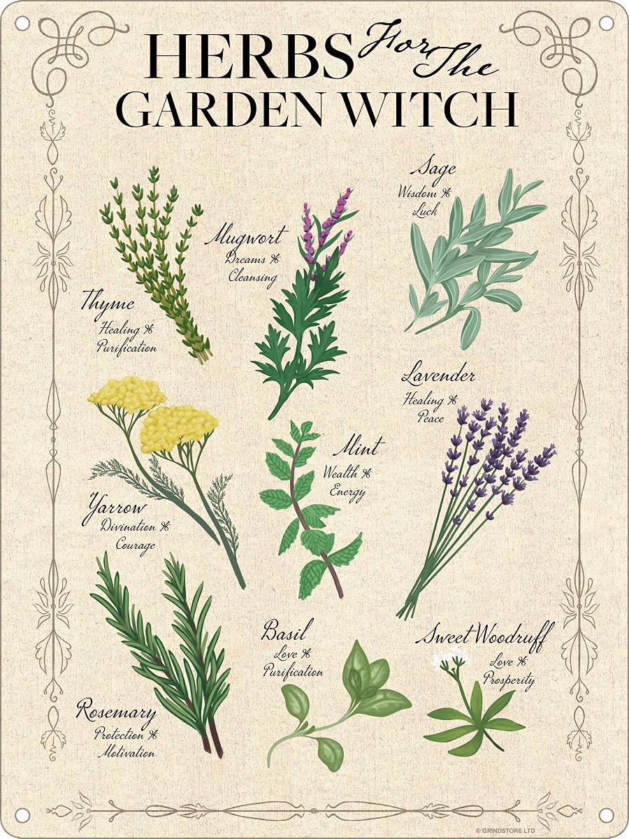 Grindstore Nc Herbs For The Garden Witch Mini Tin Sign 15X20cm