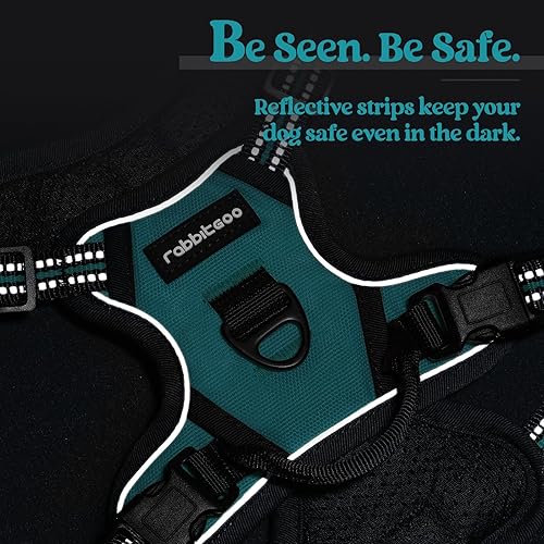 Vista 450 de rabbitgoo - Arnés antitirones para perro grande, con 2 aros para correa, acolchado suave, ajustable, tela Oxford, reflejante, no asfixia, chaleco