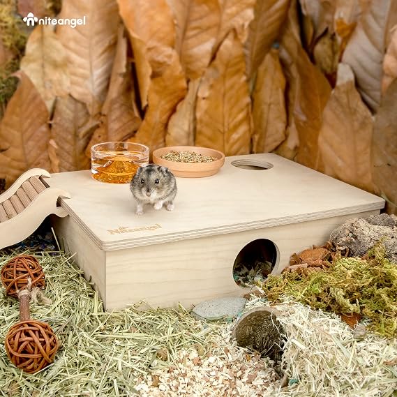 Niteangel Multi-Chamber Hamster House Maze: - Multi-Room Hideouts & Tunnel Exploring Toys for Hamster Gerbils Mice Lemmings (6-Room Small)