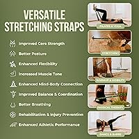 Vista 3 de Two8 Bands Pilates in a Box - Bandas de resistencia de entrenamiento para mujeres y hombres, banda de resistencia con bucles, banda elástica