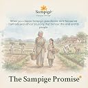 Sampige Non Iodised Un-Filtered Sea Salt | 900 g gallery image