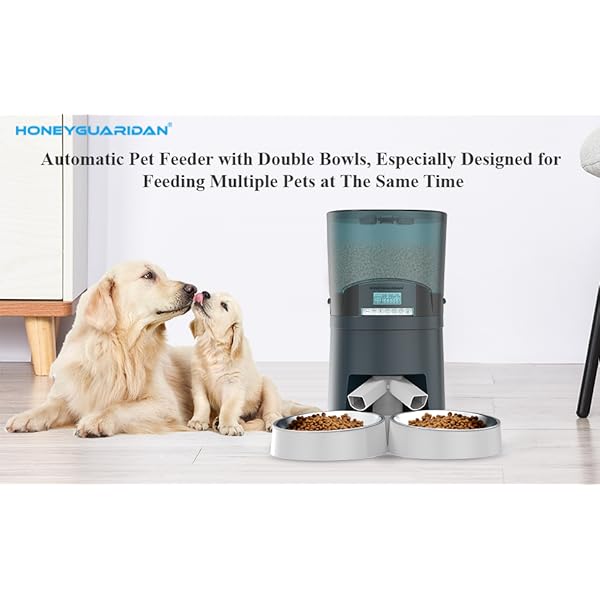 honeyguaridan automatic pet feeder