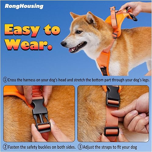 Miniatura 5 de RongHousing Arnés para perro y correa retráctil todo en uno. Impacto automático antiestallido, cuerda flexible, antitorsión. Correa ajustable
