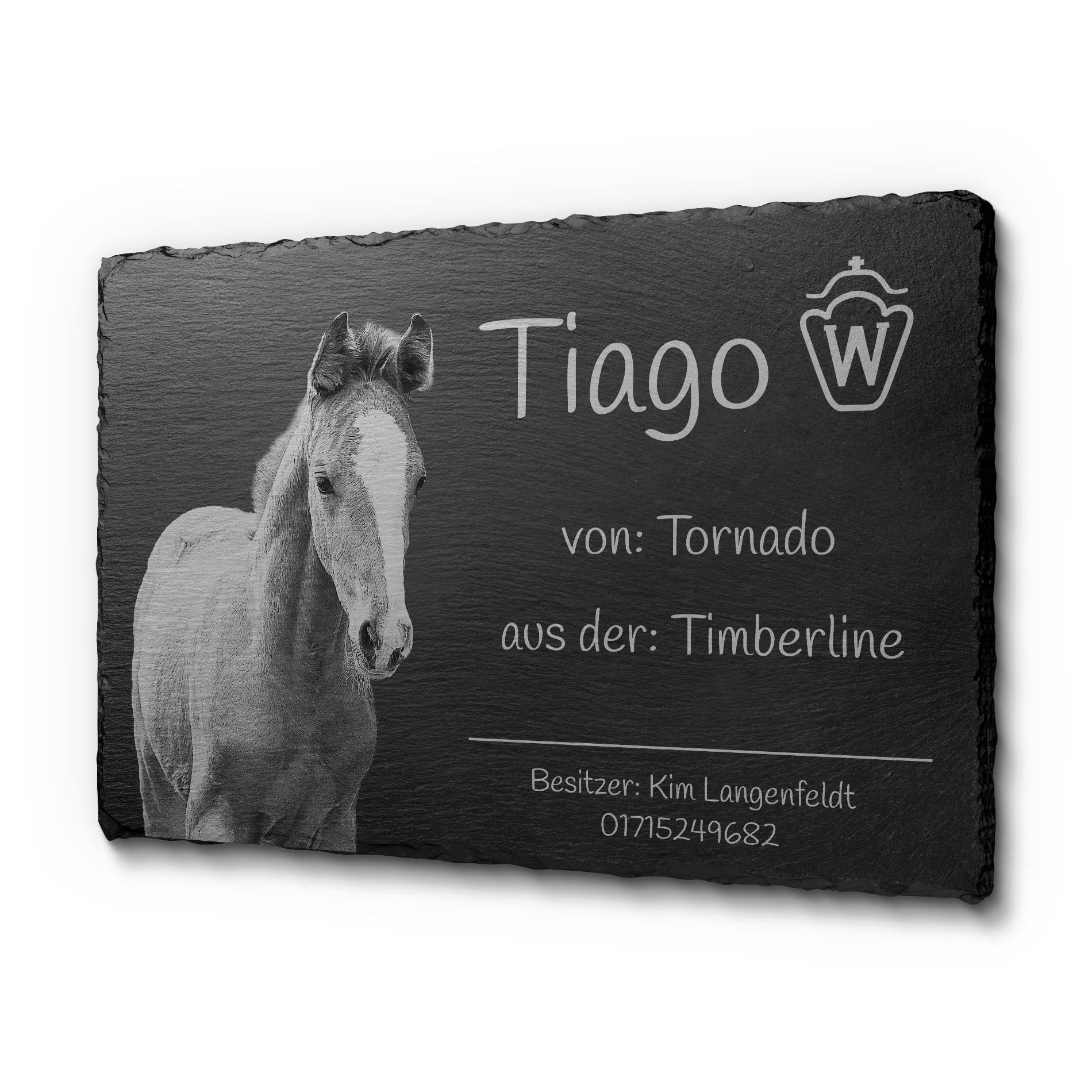 CHRISCK design Witterungsbeständiges Boxenschild aus Natur Schiefer | mit individueller Gravur mit Namen und Abstammung | 30x20 cm | wahlweise Selbstklebend oder mit Bohrlöchern (D18)