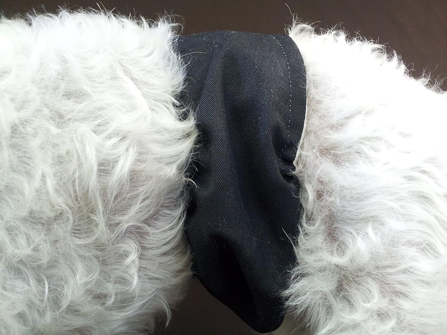 Reusable Male Dog Diapers| Leak-Proof, Washable, Doggie Diaper| Male Dog Wraps| Dog Belly Bands (Large)