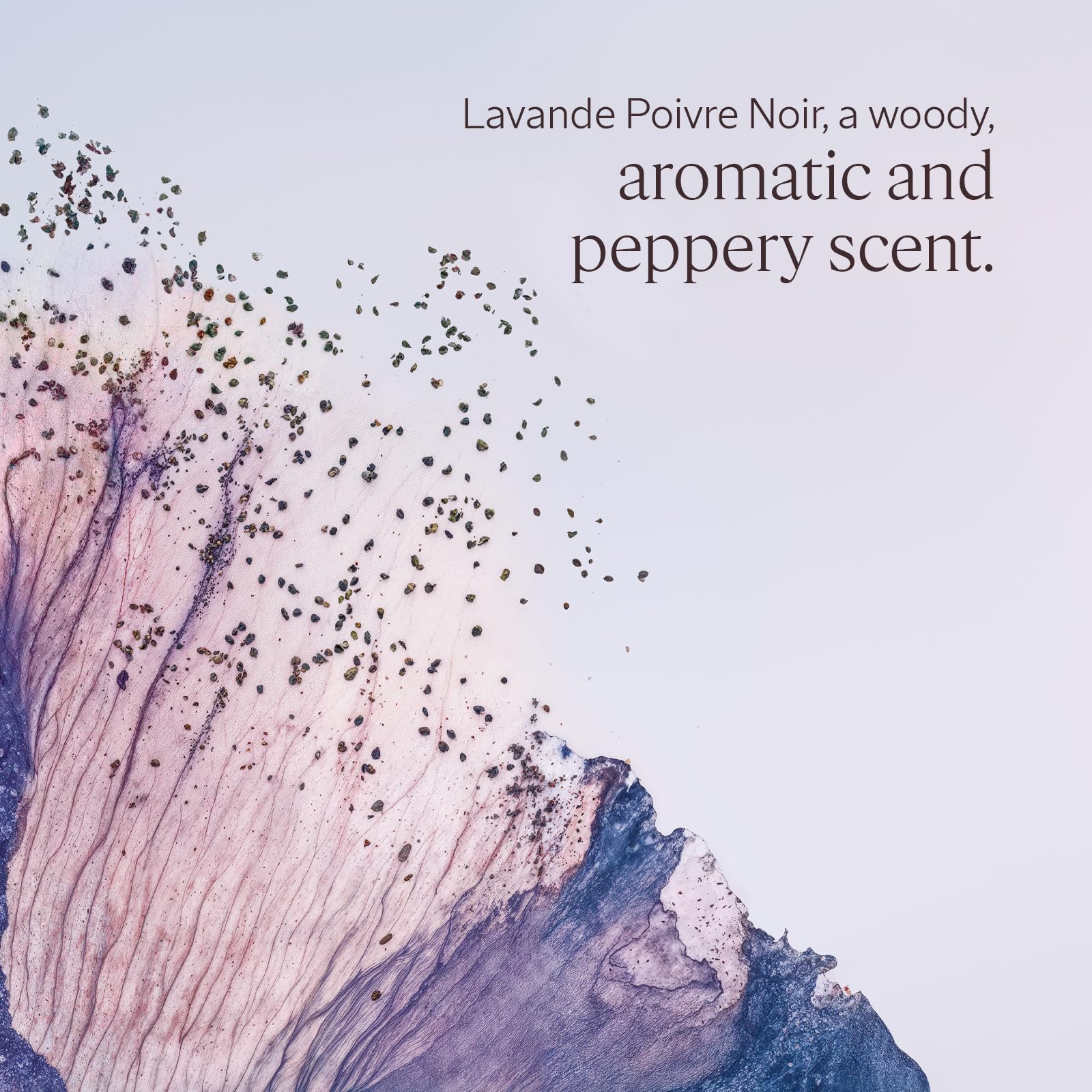 L'OCCITANE - Lavande Poivre Noir (formerly L’Occitan) Shower Gel - 75 ml - Woody, aromatic and peppery fragrance - Made in France - Image 2