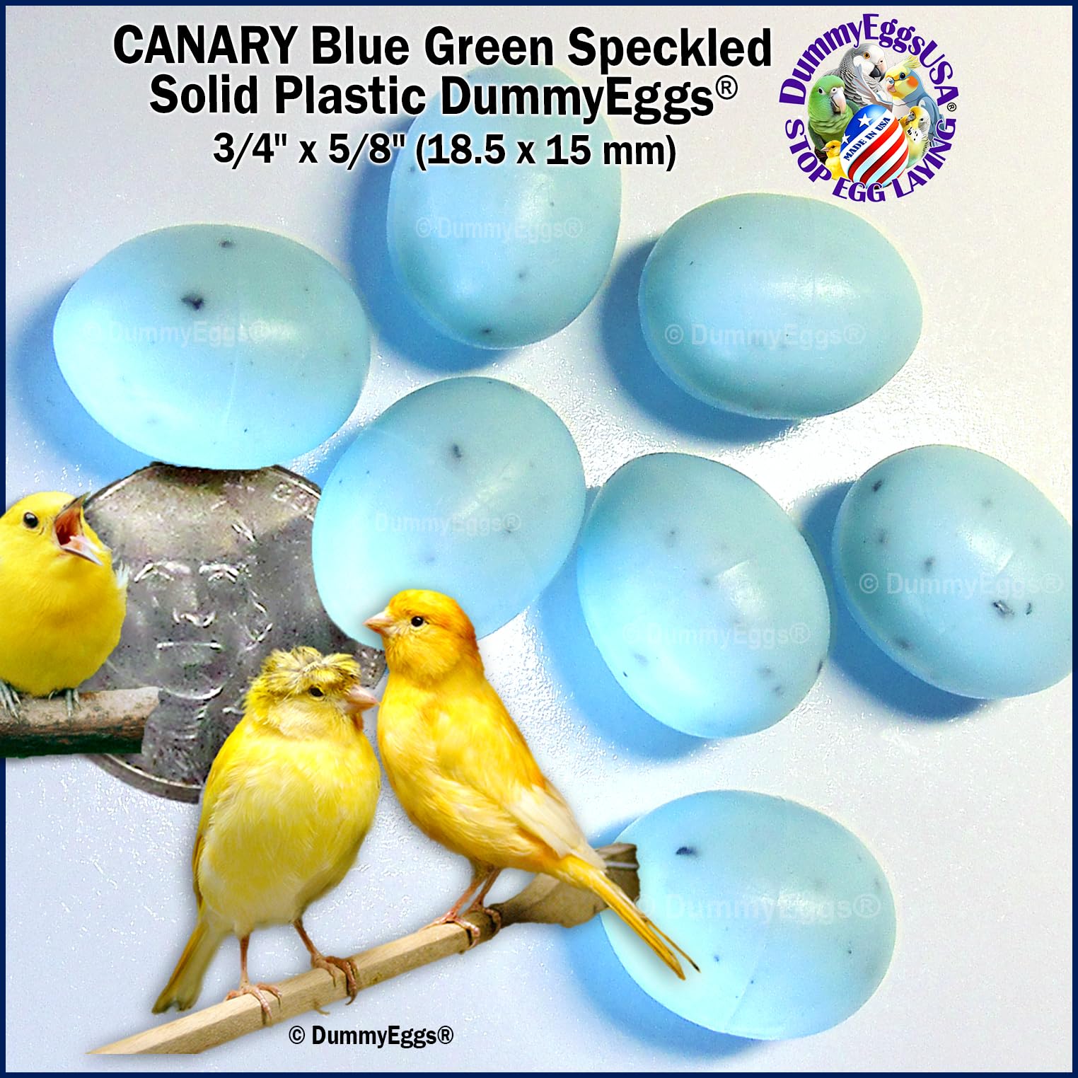 Plastic Canary Fake Dummy Eggs Stop Brooding Laying! 7 Realistic Speckled Blue-Green Safe Not Painted Non-Toxic Solid Dummy Fake Eggs DE Brand USA
