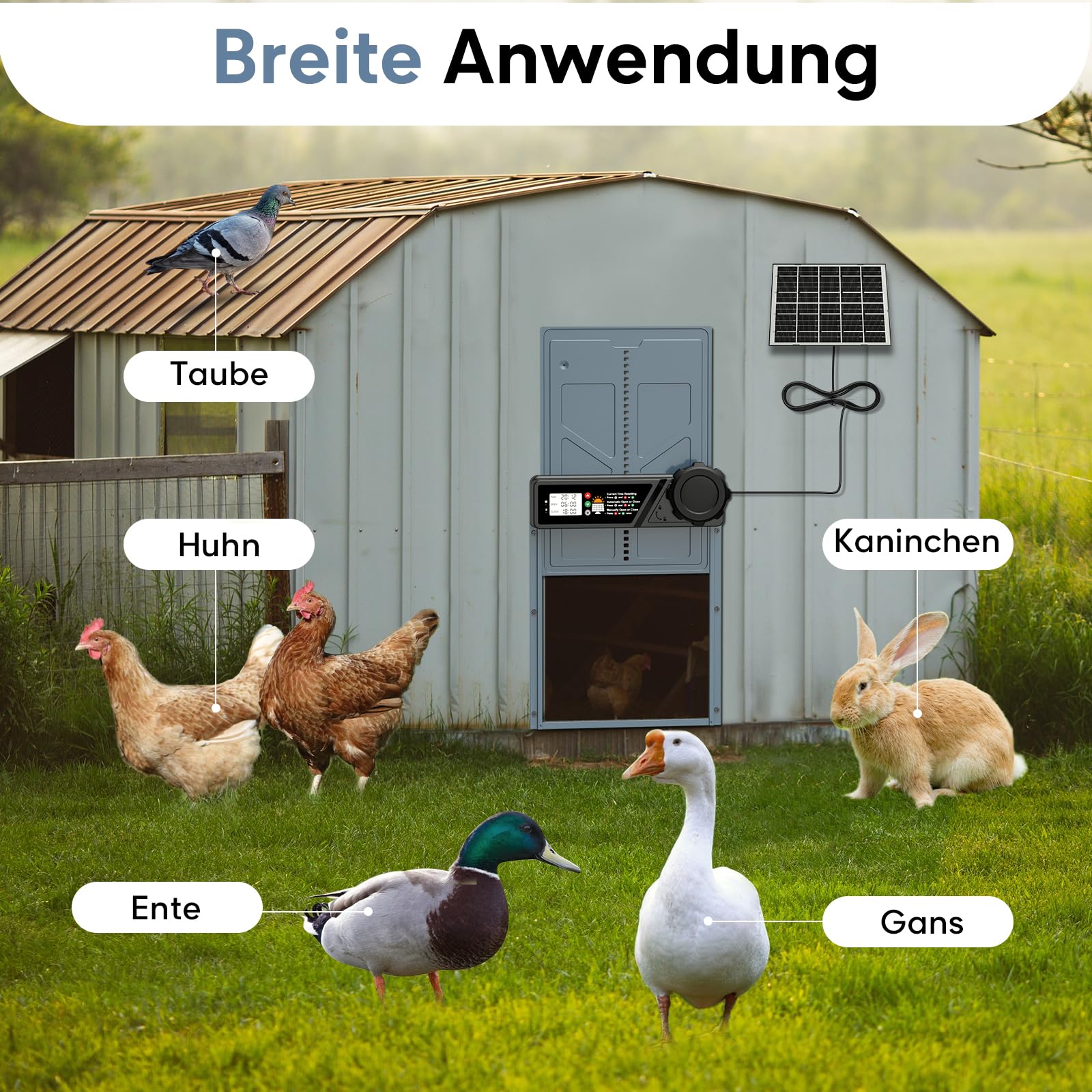 CHAMUTY Große Automatische Hühnerklappe Solar, Elektrische Hühnerklappe Automatisch mit Timer, 7W Solarpanel, LCD Display, Fernbedienung, Automatische Hühnerstalltür Hühnertür, Einklemmschutz
