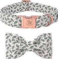 Vista 21 de Collar para perro Elegant Little Tail con moño, estampado de pepinillos, collar de moño lindo para perros pequeños