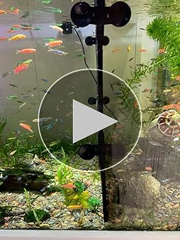 Kisangel 8pcs Practical Fish Tank Divider Clips Aquarium Tank