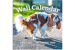 Pooping Dogs Calendar 2025- A Hilarious Way to Mark Every Day