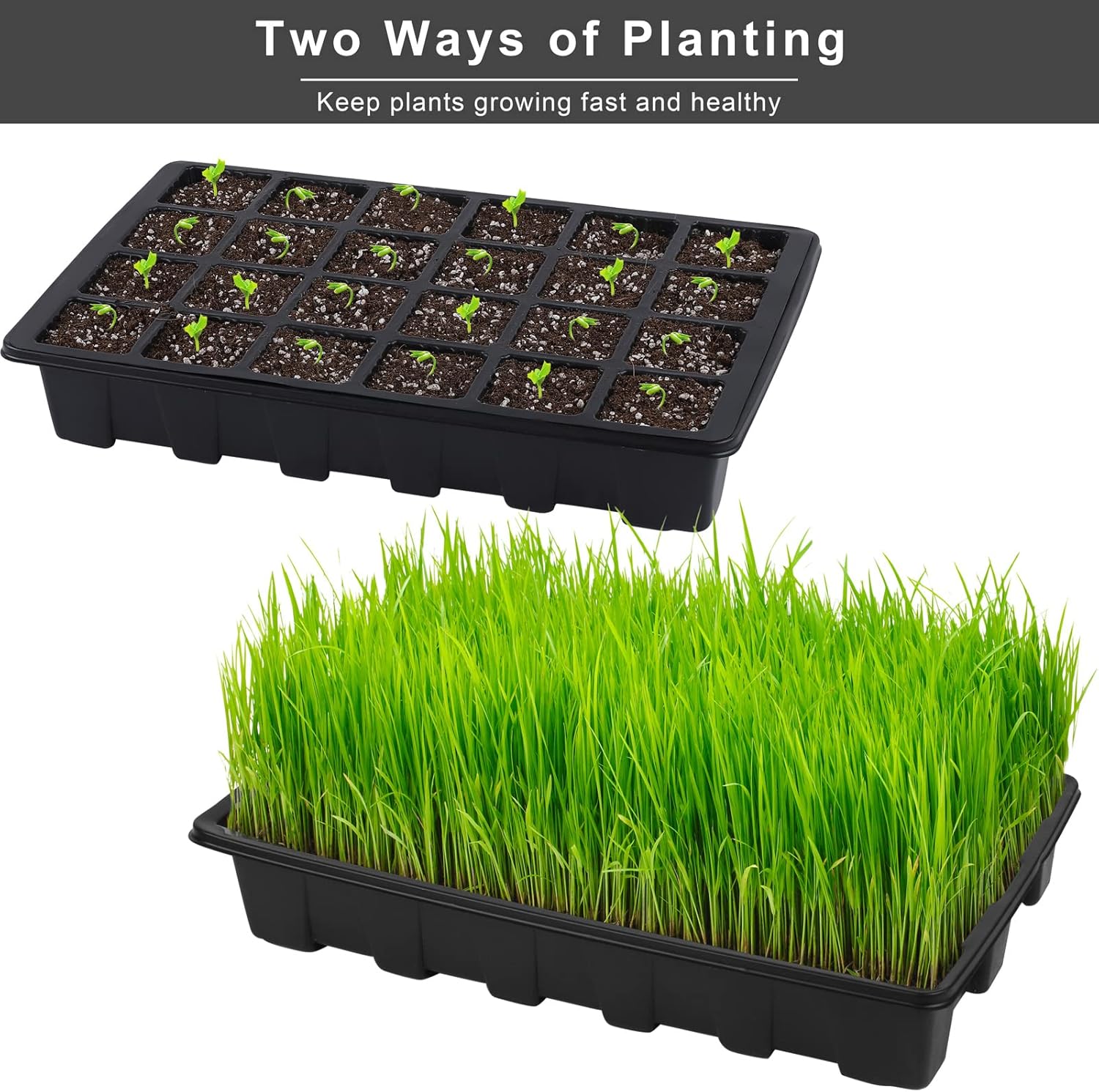 Elcoho 8 Pack 192 Cells Seed Starter Tray Kit Seedling Tray Propagator Plant Grow Tray with Humidity Dome and Base Plastic Planter for Greenhouse Germination Starter, 24 Cells per Tray, Black