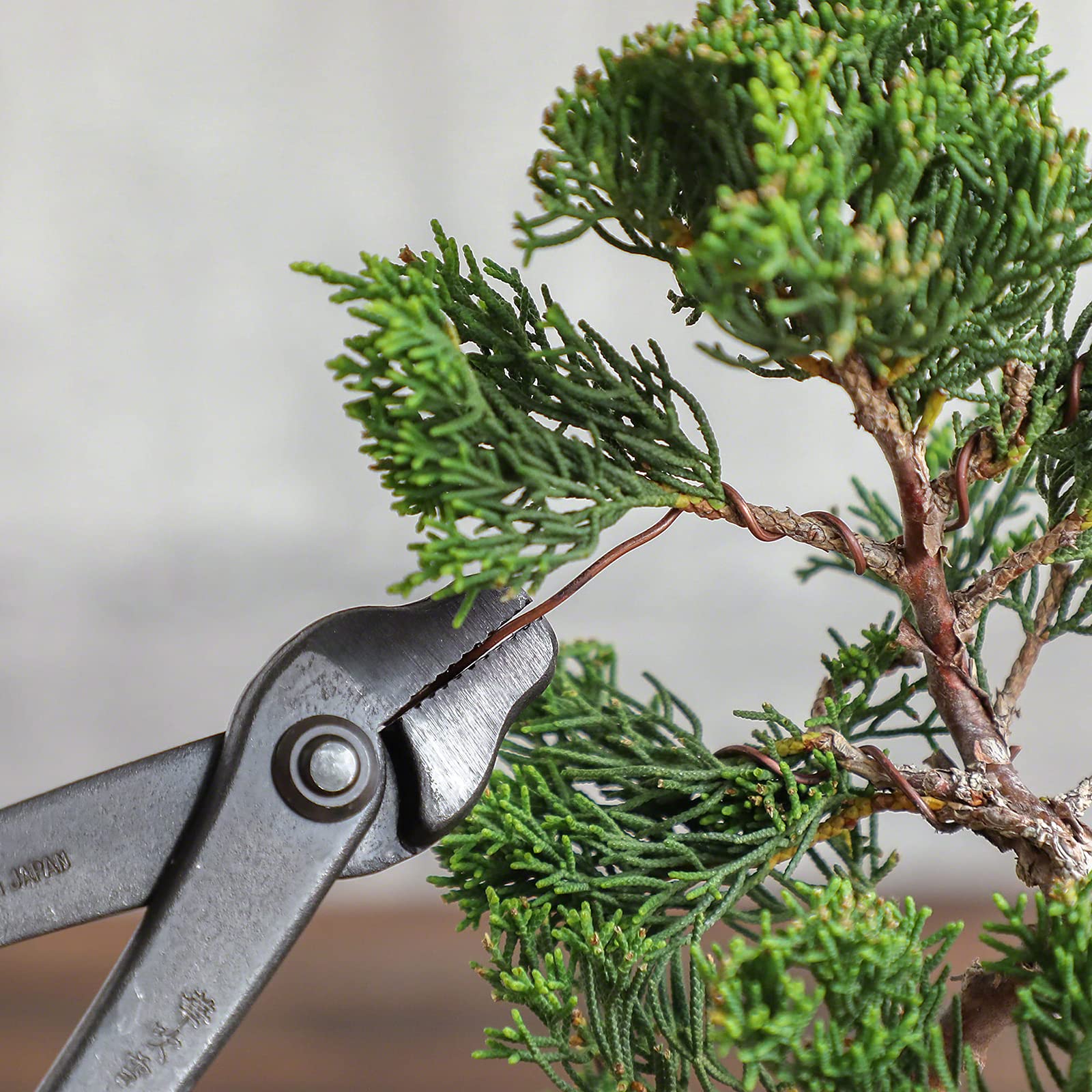 Filo Per Bonsai In Rame Ricotto Wazakura - 1.6mm, 300g, Fatto In Giappone Per Modellatura