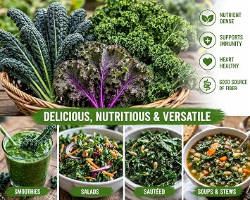 Kale Seeds Variety Pack (4 Types) Lacinato, Red Russian, Dwarf Siberian, Blue Scotch Curled Heirloom, Non-GMO, Container Friendly Kale Seeds for Indoor & Outdoor Vegetable Gardening