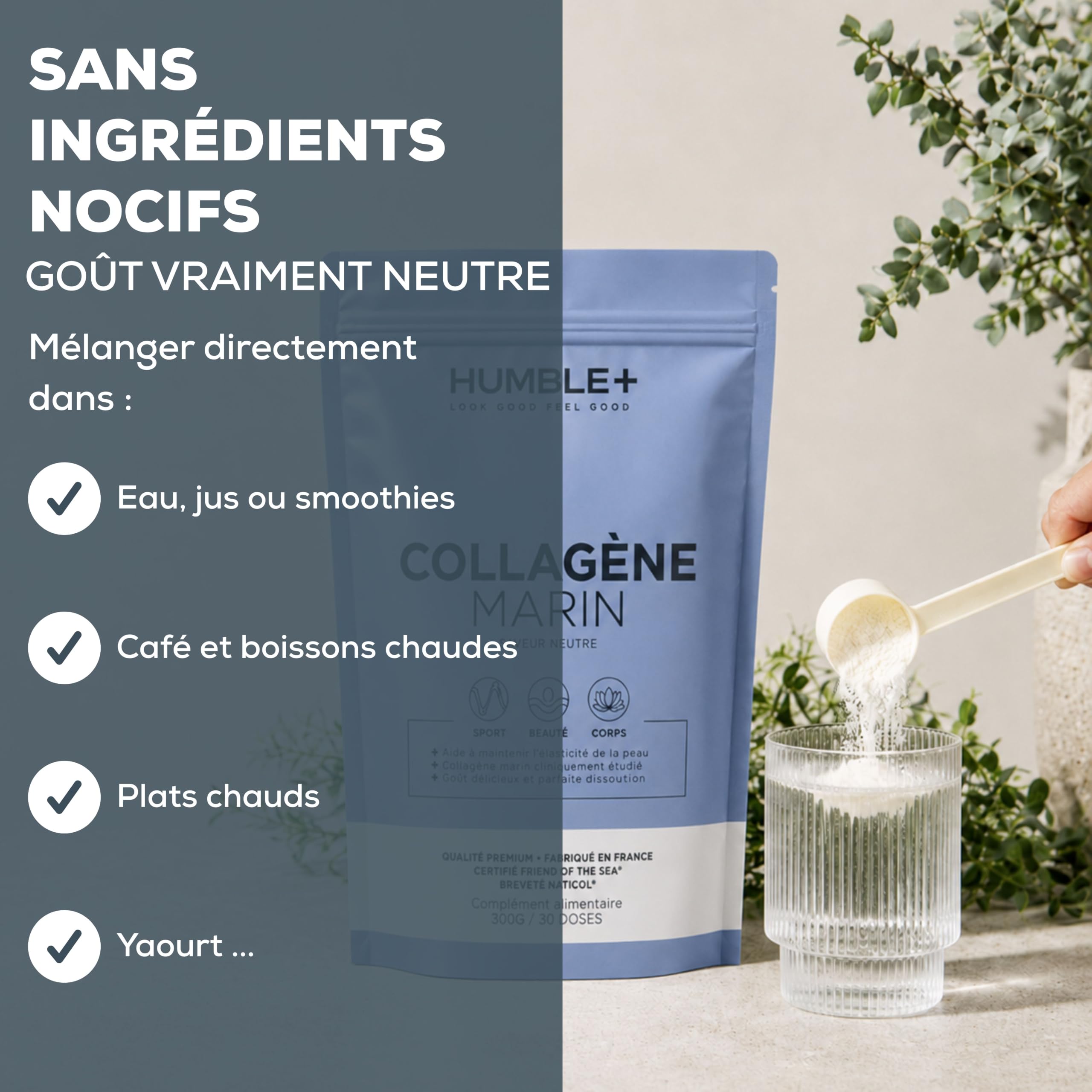 HUMBLE+ Collagène Marin Naticol® en Poudre Saveur Neutre - Peptides de Collagène Type 1-300 g - 60 Portions - Collagène Marin Français