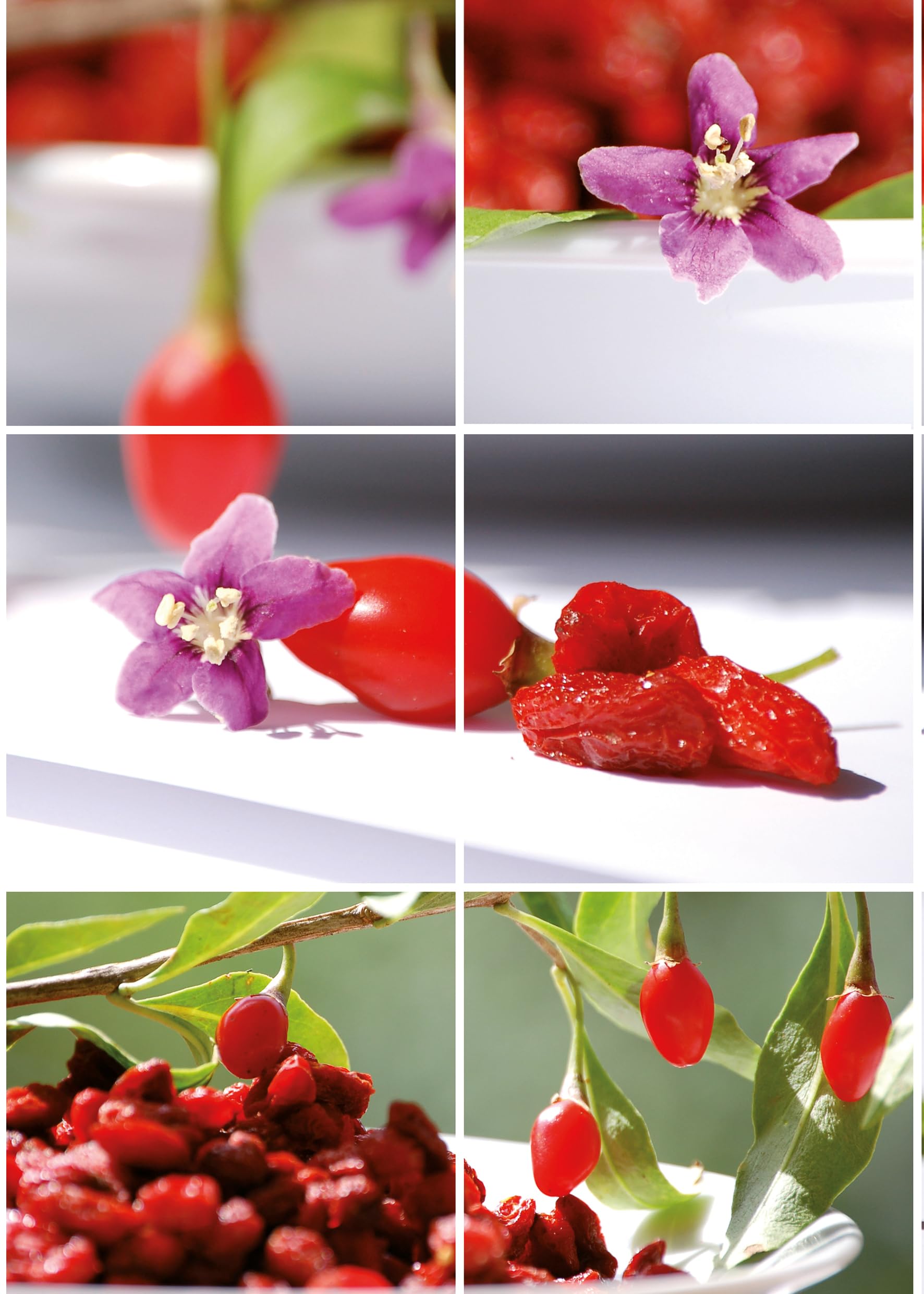 Bayas Goji Yuthog - 100% Tibetanas - 250 grs - Ricas en Vitaminas y Minerales - Recolectadas Artesanalmente - Variedad Lycium Barbarum - Energía y Vitalidad Natural - 100% Natural