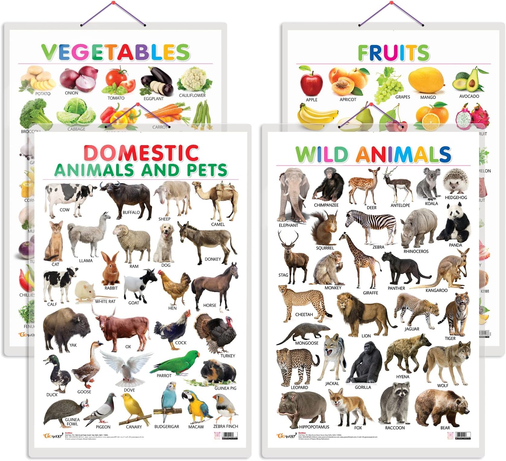 GO WOOCombo of 4 Fruits, Vegetables, Domestic Animals and Pets and Wild Animals Educational Posters for Preschool Kids Classroom Study | Learning- Charts for Kids Learning (20"X30" Inches)