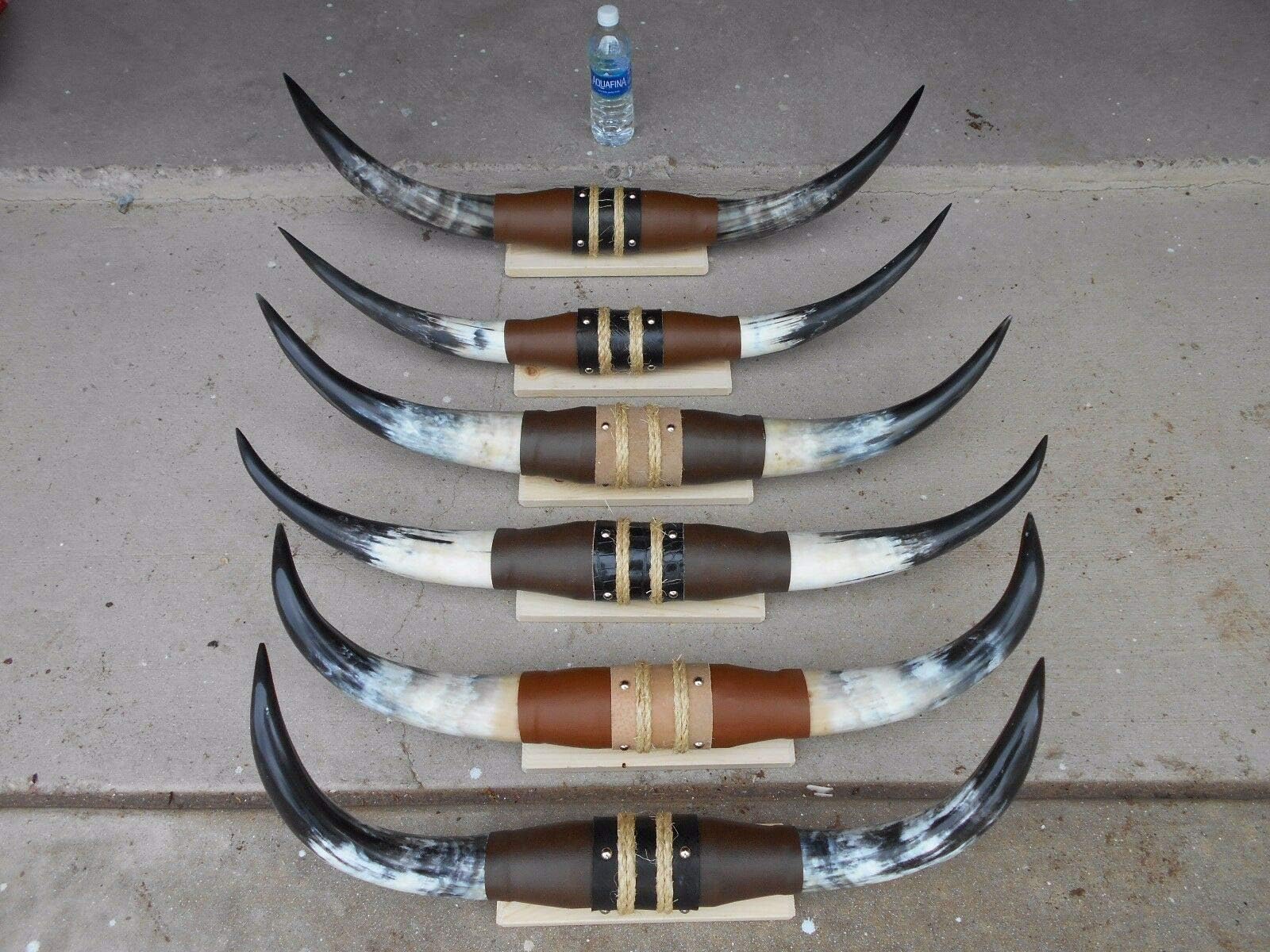 Real Mounted Steer Cow Bull Texas Long Horns (One Set Only) Longhorn 30" To 34"