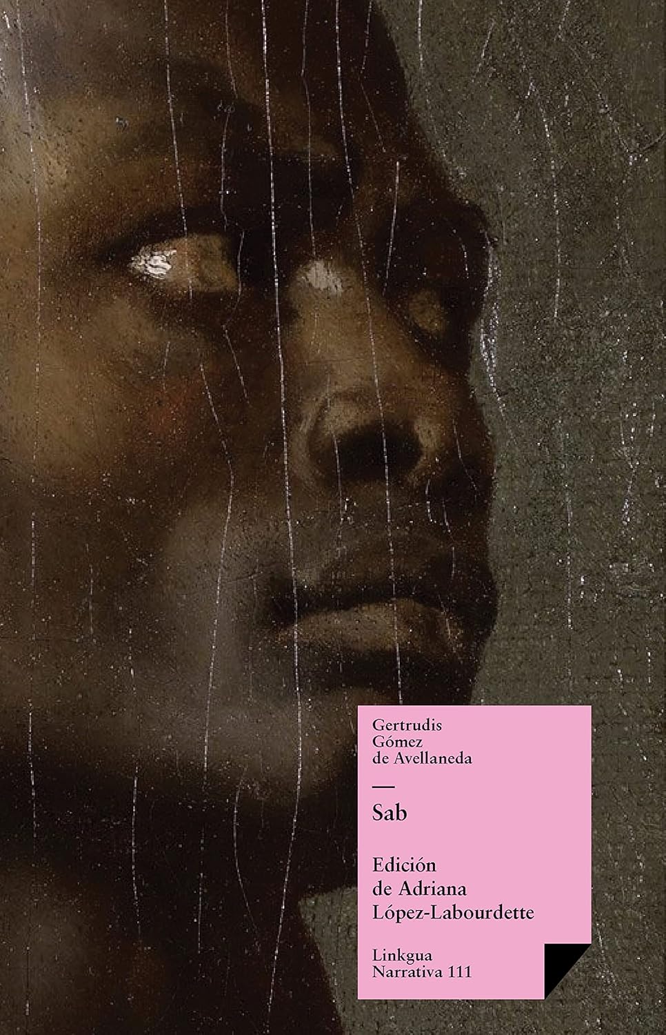 Sab (Narrativa nº 111) (Spanish Edition)      Kindle Edition