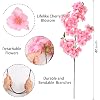 Product Photo 5