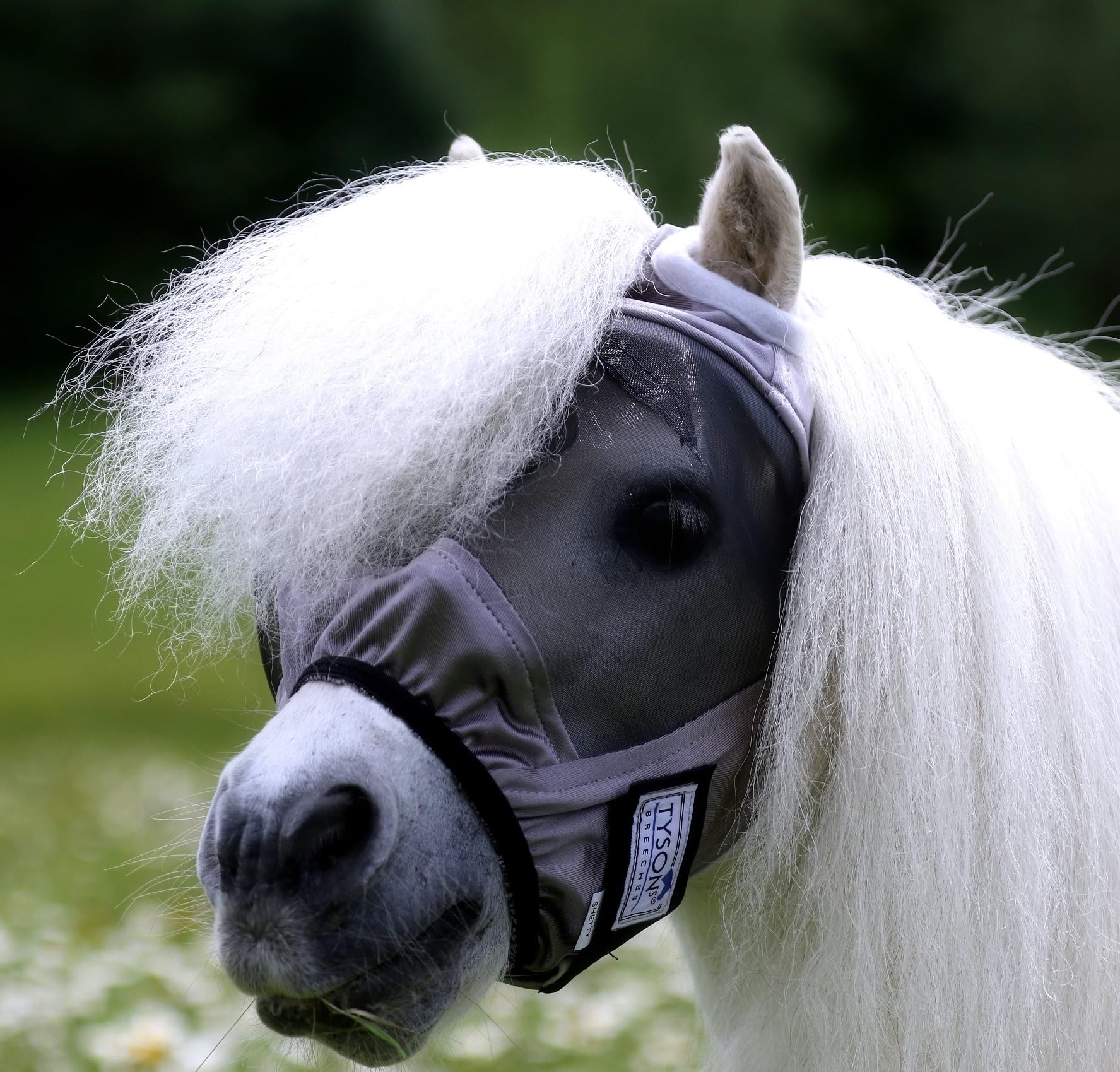 Fliegenmaske ohne Nasenteil MIT Ohren Fliegenhaube Lissy Minishetty Mini Shetty viel Augenfreiheit! Tysons Minipony Falabella Fliegenschutz (Minishetty, Grau - Schwarz)