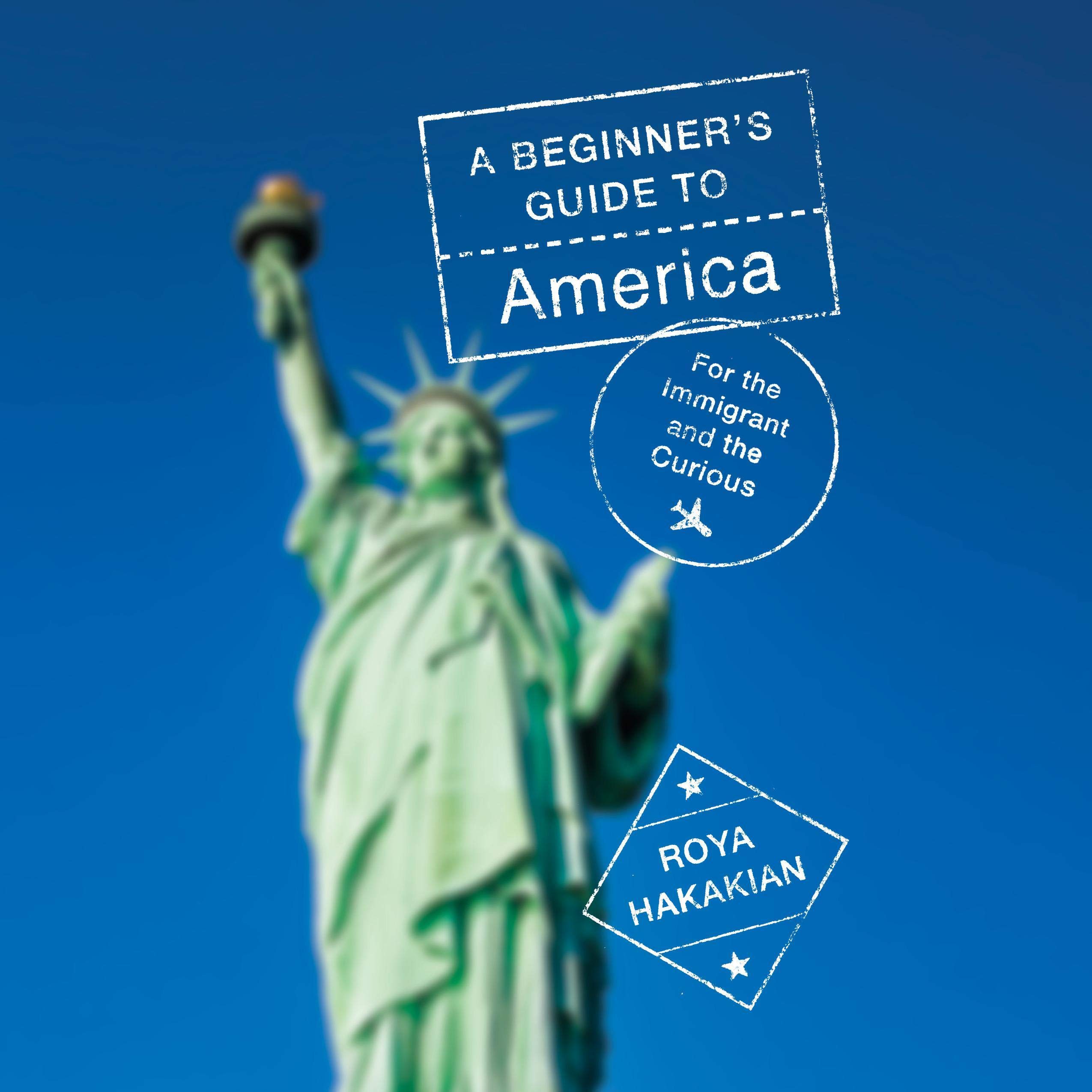 Cover art for A Beginner's Guide to America